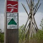 Buiterling