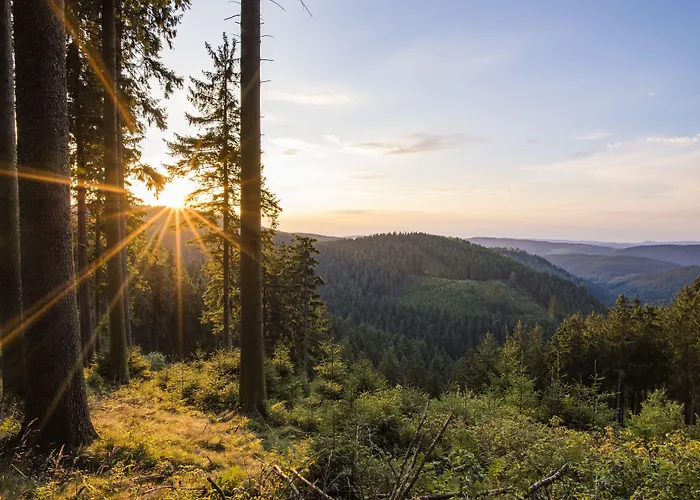 Buiterling 3* Brilon